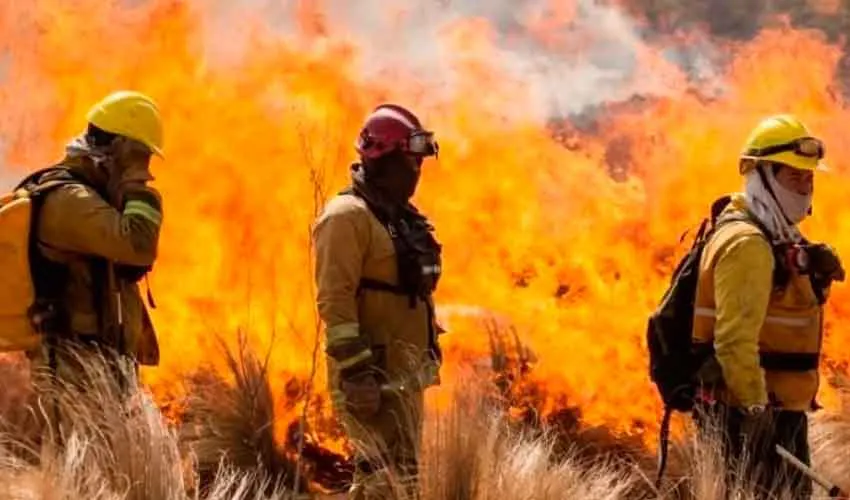 Bombero Voluntario Financiación Gestión Del Presidente Javier Milei
